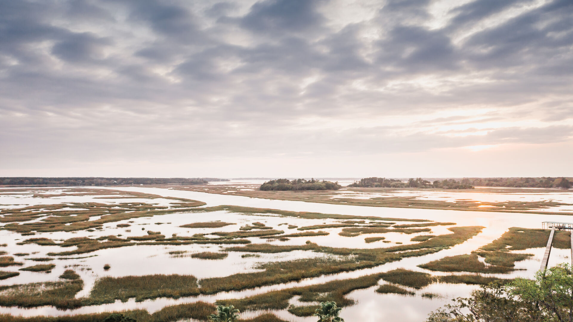Marsh
